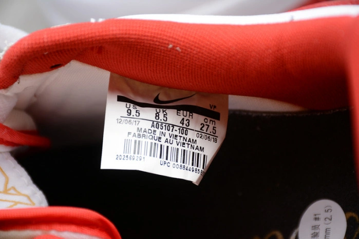 NIKE AIR FORCE 1 LOW FO FI FO AQ5107-100