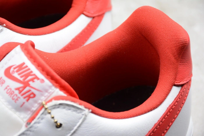 NIKE AIR FORCE 1 LOW FO FI FO AQ5107-100
