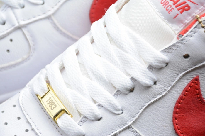 NIKE AIR FORCE 1 LOW FO FI FO AQ5107-100