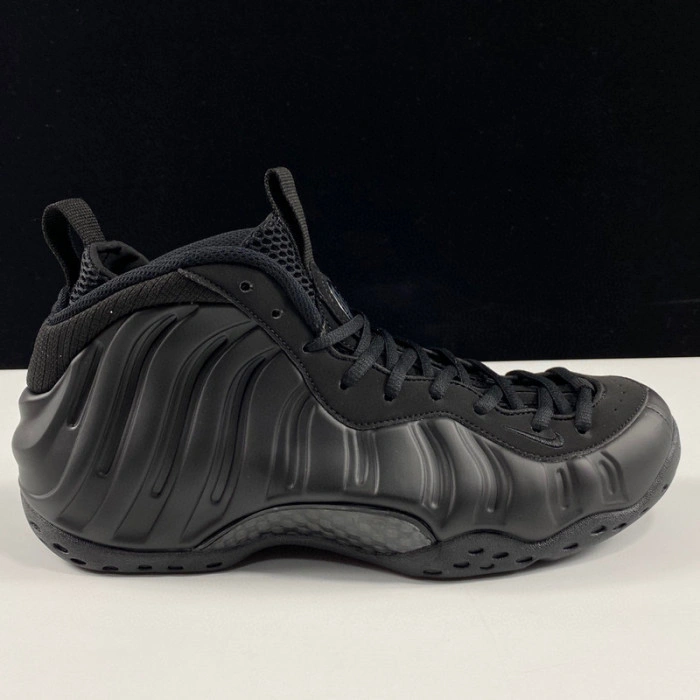 Nike Air Foamposite One Anthracite 314996-001