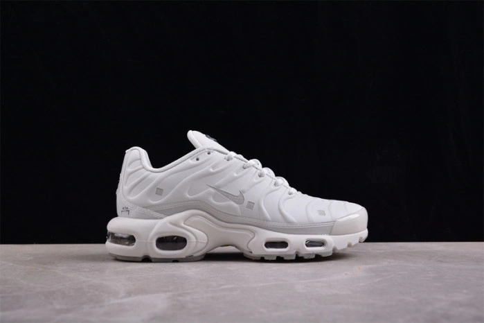 Nike Air Max Plus A-COLD-WALL Platinum Tint