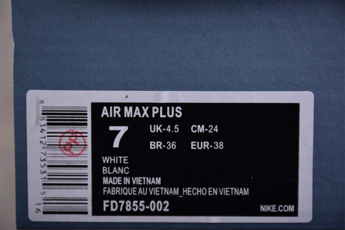 Nike Air Max Plus A-COLD-WALL Platinum Tint