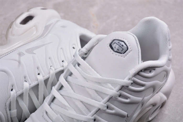 Nike Air Max Plus A-COLD-WALL Platinum Tint