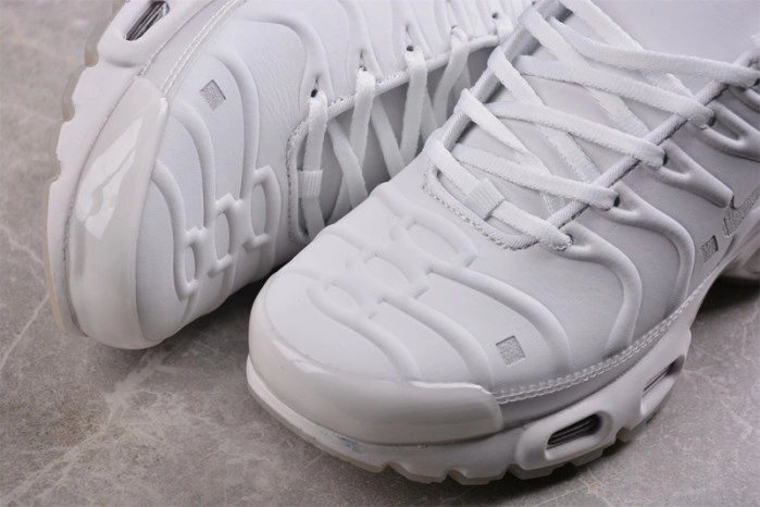 Nike Air Max Plus A-COLD-WALL Platinum Tint