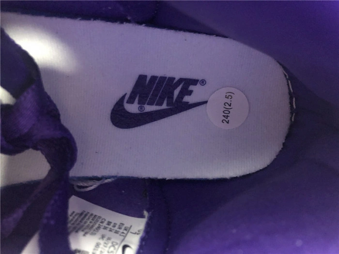 Nike Dunk High SP Varsity Purple (W) DC5382-100