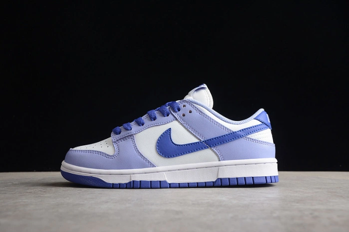 Nike Dunk Low Blueberry (GS) DZ4456-100