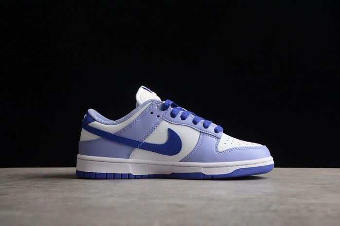 Nike Dunk Low Blueberry (GS) DZ4456-100