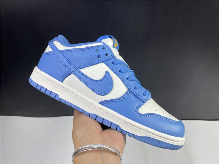Nike Dunk Low Coast (W) DD1503-100