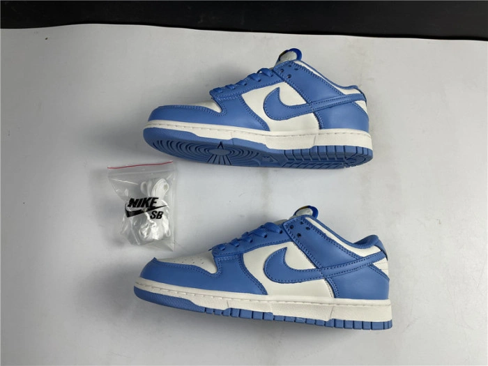 Nike Dunk Low Coast (W) DD1503-100