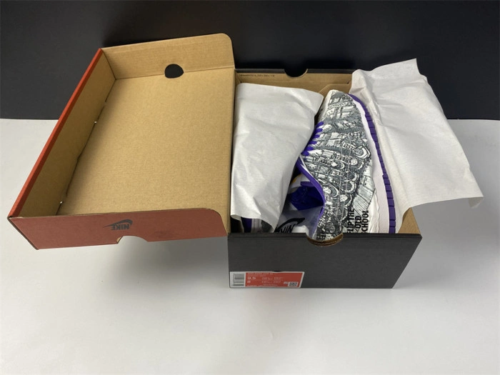 Nike Dunk Low Flip the Old School DJ4636-100