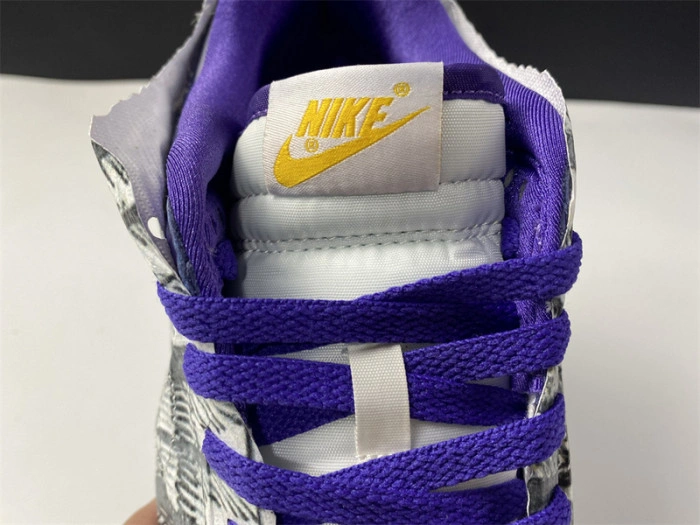 Nike Dunk Low Flip the Old School DJ4636-100