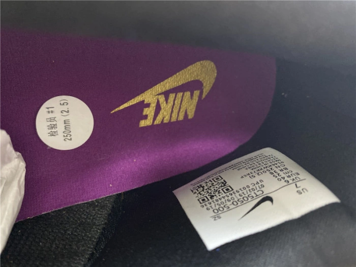 Nike Dunk Low Viotech (2019) CT5050-500