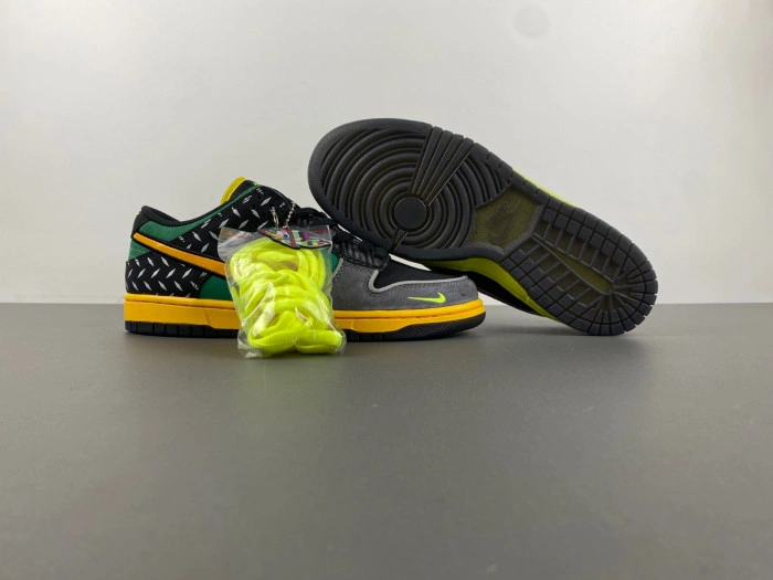 Nike Dunk Low What the Duck Home University of Oregon PE  HV1454-001