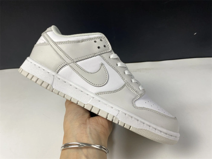 Nike Dunk Low "Photon Dust" DD1503-103