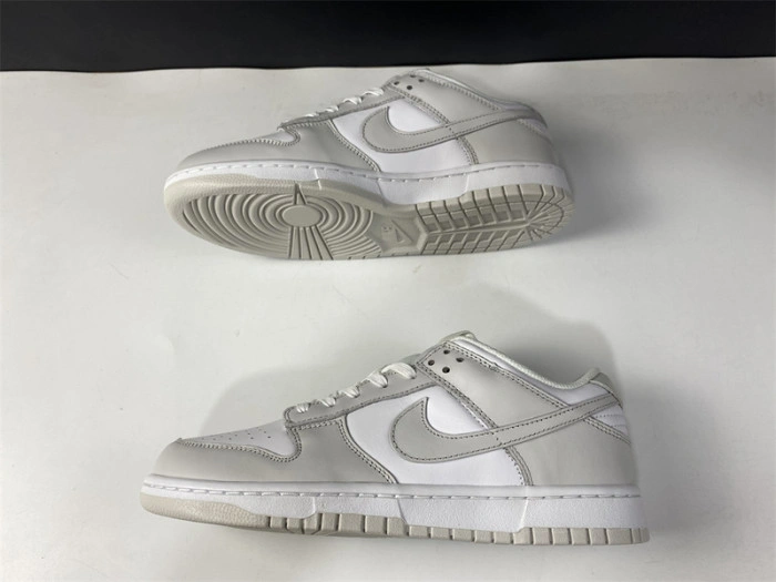 Nike Dunk Low "Photon Dust" DD1503-103
