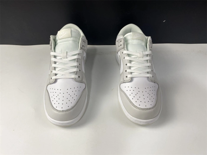 Nike Dunk Low "Photon Dust" DD1503-103