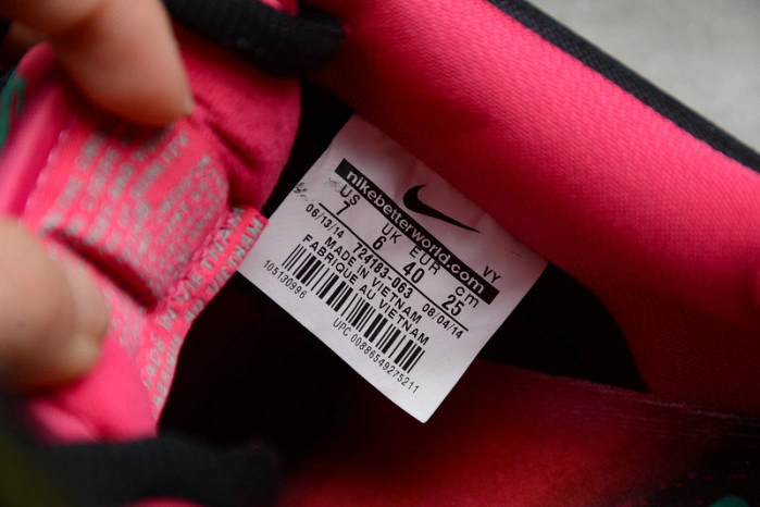 Nike Dunk SB Low Premier "Northern Lights"724183-063