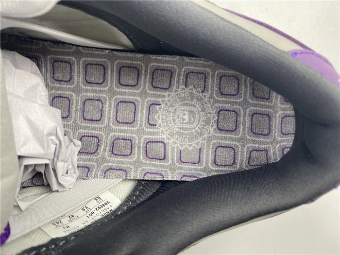 Nike Dunk SB Low Purple Pigeon 304292-051