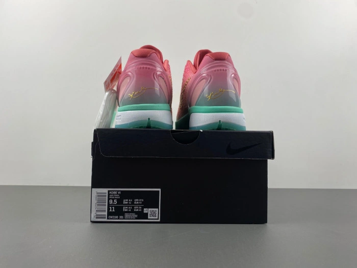 Nike Kobe 6  CM2190-201