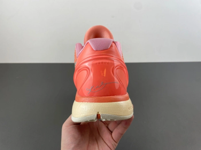 Nike Kobe 6 Protro