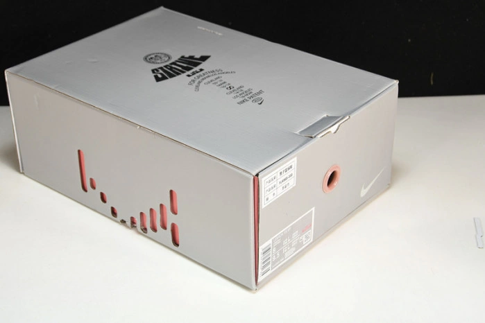 Nike LeBron 20 Stocking Stuffer   FJ4955-300