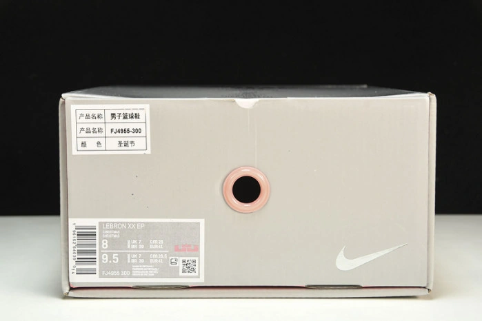 Nike LeBron 20 Stocking Stuffer   FJ4955-300