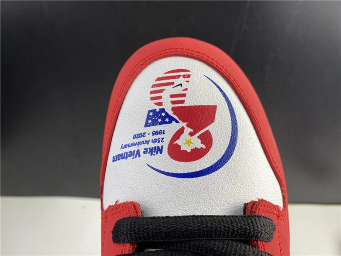 Nike SB Dunk Low 25th years 309242-307