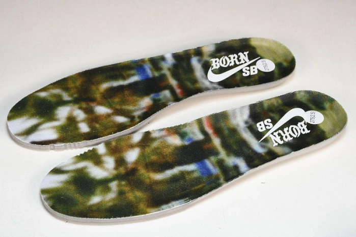 Nike SB Dunk Low Born x Raised FN7819-400