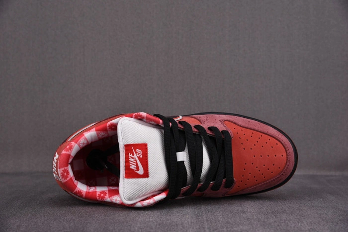 Nike SB Dunk Low Concepts Red Lobster 313170-661