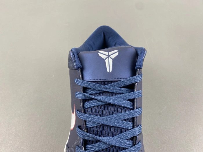 Nike Zoom Kobe 4 Inline    AV6339-109