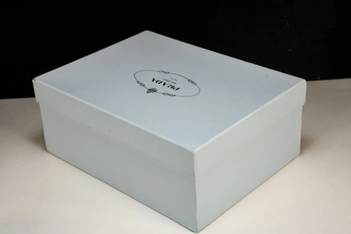 Prada Designer Shoes