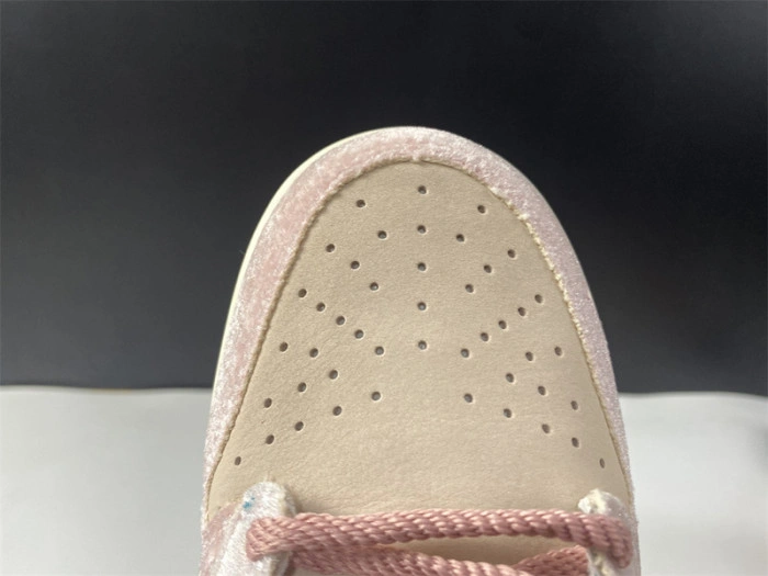 Social Status x Nk SB Dunk High Pro DJ1173-600