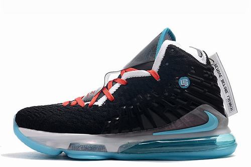 Lebron James 17-016