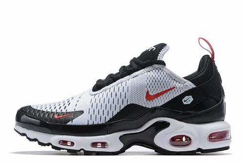 Air Max Plus TN 270-089