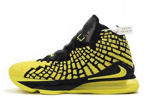 Lebron James 17-008