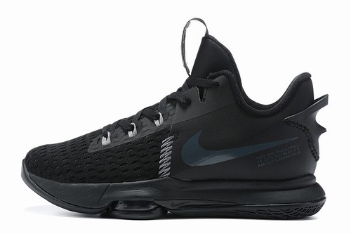 Zoom LeBron 5-005