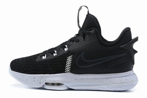Zoom LeBron 5-008