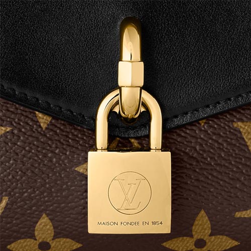 M80559 Padlock on Strap 7 M80559 Padlock on Strap - Image 4