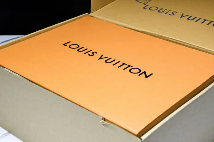 LV TRAINER MAXI 24111601