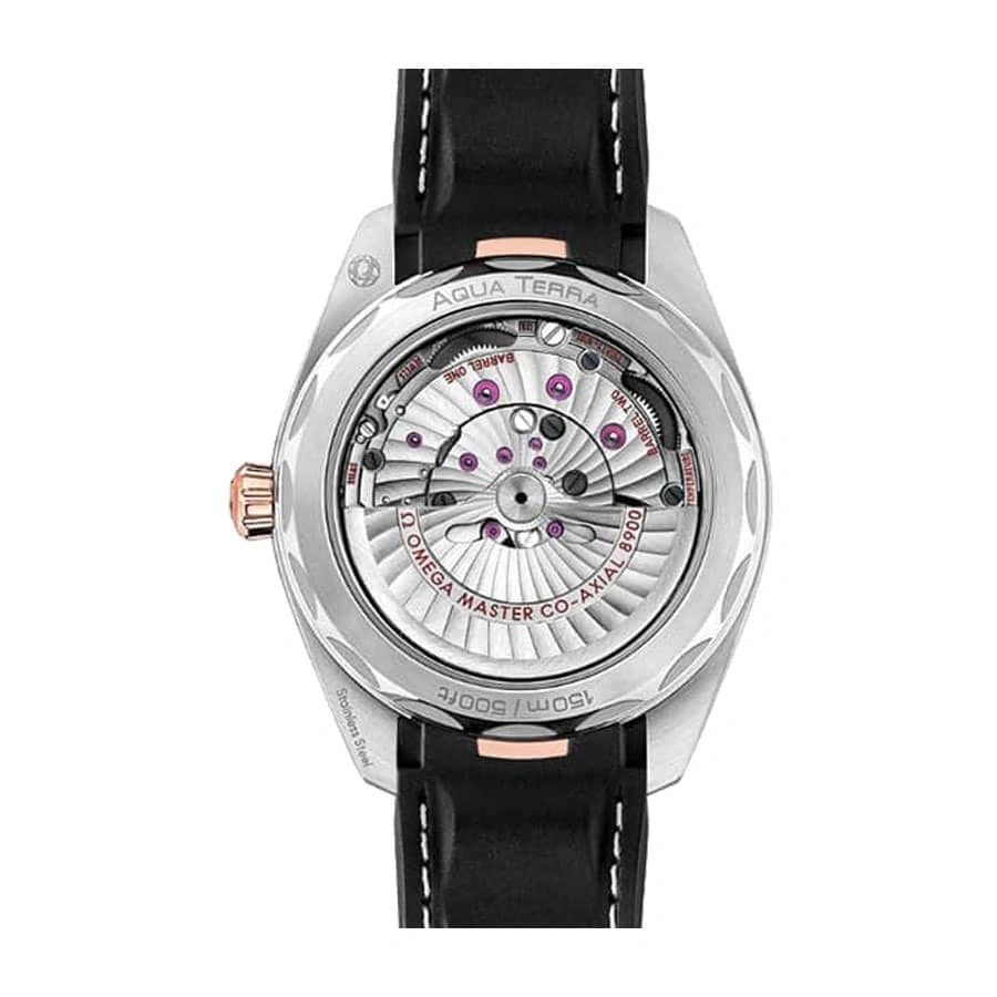 Reptime Premium Omega Seamaster Aqua Terra 220.22.41.21.02.001 Supreme Replica Edition 281