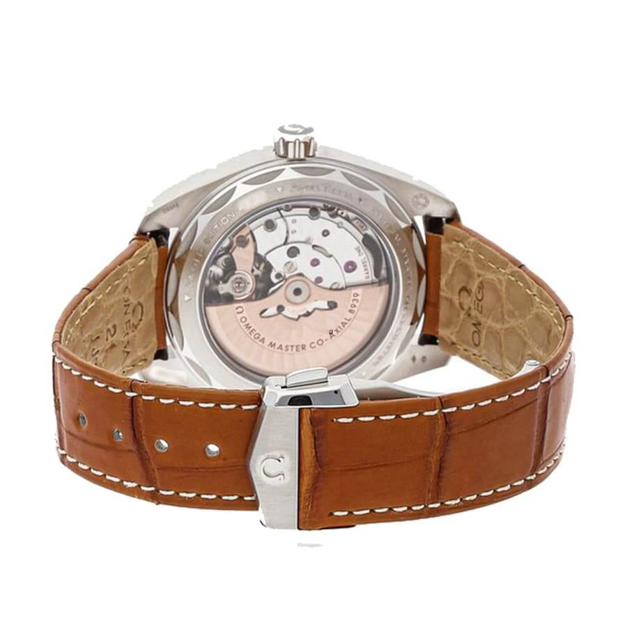 Reptime Omega Seamaster Aqua Terra Worldtimer Co-Axial Master Chronometer 220.93.43.22.99.001  Copy 1: EasyCare 283