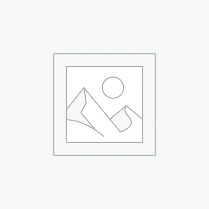 Reptime Rolex Day-Date 228235 “Smoke Ombre” Precision Clone Edition – Swiss TechFriendly 969